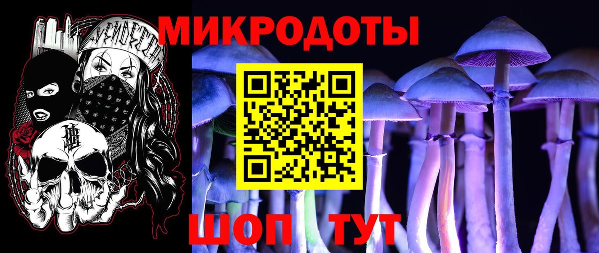 Псилоцибиновые грибы Psilocybine cubensis  купить  цена  Краснознаменск  Вход с VPN 